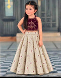 Lehnga  with heavy work valvet blouse ready to wear.